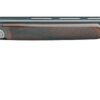 RIZZINI BR110 LIGHT LUXE OVER UNDER