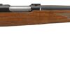 Ruger 77/17 BOLT ACTION