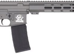GREAT LAKES FIREARMS AR-15 SEMI AUTO