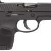 SIG SAUER P250 SUB COMPACT SEMI AUTO