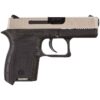Diamondback DB380 380 ACP Pistol with 2.8-Inch Barrel and EXO Nickel Boron Finish - 6+1 Rounds
