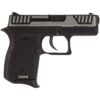 Diamondback DB380 .380 ACP Pistol | 2.8-Inch Barrel | Black & Brushed Stainless Finish | 6+1 Rounds